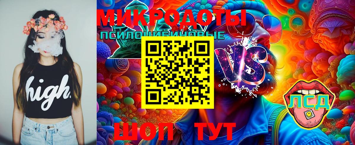 Галлюциногенные грибы Psilocybine cubensis Кизляр