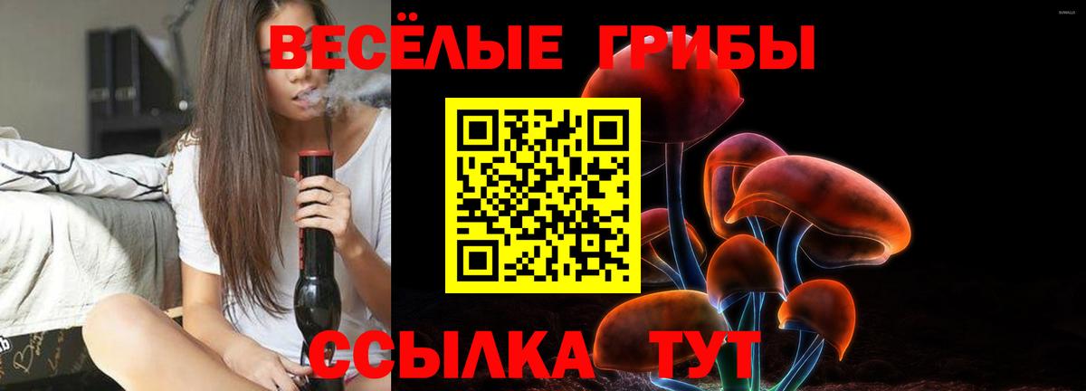 Псилоцибиновые грибы GOLDEN TEACHER  Псилоцибиновые грибы Psilocybine cubensis  Кизляр  Вход с VPN 